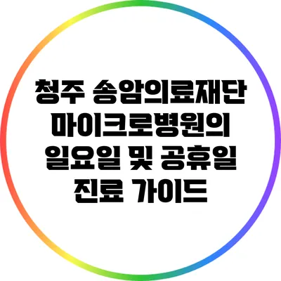 청주 송암의료재단 마이크로병원의 일요일 및 공휴일 진료 가이드