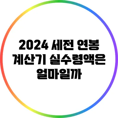 2024 세전 연봉 계산기: 실수령액은 얼마일까?