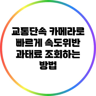 교통단속 카메라로 빠르게 속도위반 과태료 조회하는 방법
