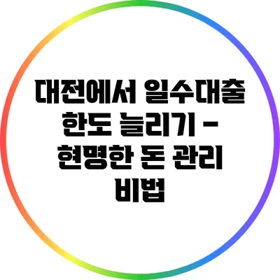 대전에서 일수대출 한도 늘리기 – 현명한 돈 관리 비법