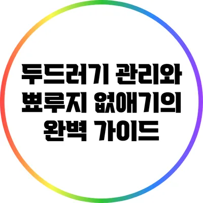 두드러기 관리와 뾰루지 없애기의 완벽 가이드