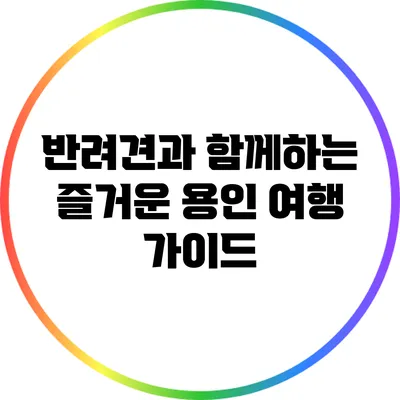 반려견과 함께하는 즐거운 용인 여행 가이드