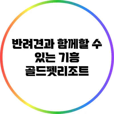 반려견과 함께할 수 있는 기흥 골드펫리조트