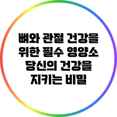 뼈와 관절 건강을 위한 필수 영양소: 당신의 건강을 지키는 비밀
