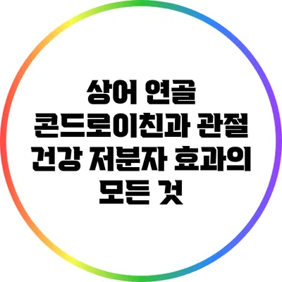 상어 연골 콘드로이친과 관절 건강: 저분자 효과의 모든 것