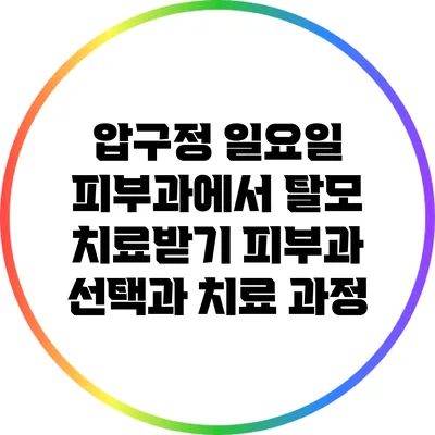 압구정 일요일 피부과에서 탈모 치료받기: 피부과 선택과 치료 과정