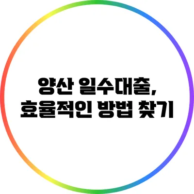양산 일수대출, 효율적인 방법 찾기