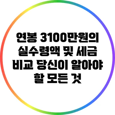 연봉 3100만원의 실수령액 및 세금 비교: 당신이 알아야 할 모든 것