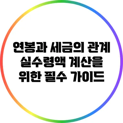 연봉과 세금의 관계: 실수령액 계산을 위한 필수 가이드