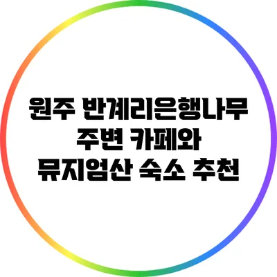 원주 반계리은행나무 주변 카페와 뮤지엄산 숙소 추천