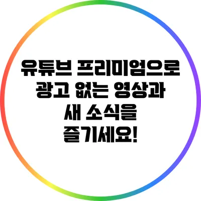 유튜브 프리미엄으로 광고 없는 영상과 새 소식을 즐기세요!