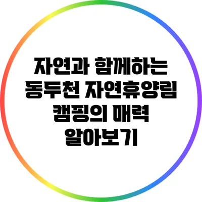 자연과 함께하는 동두천 자연휴양림 캠핑의 매력 알아보기