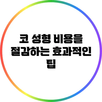 코 성형 비용을 절감하는 효과적인 팁