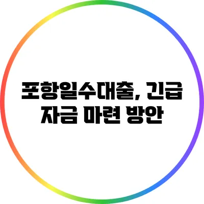 포항일수대출, 긴급 자금 마련 방안