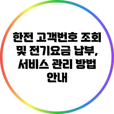한전 고객번호 조회 및 전기요금 납부, 서비스 관리 방법 안내