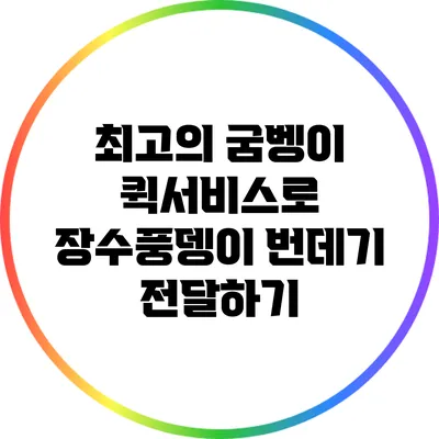 최고의 굼벵이: 퀵서비스로 장수풍뎅이 번데기 전달하기