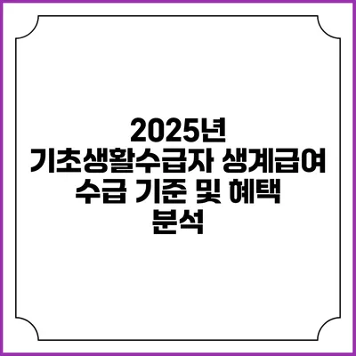 2025년 기초생활수급자 생계급여 수급 기준 및 혜택 분석