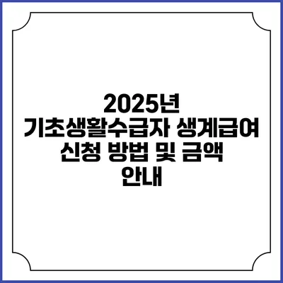 2025년 기초생활수급자 생계급여 신청 방법 및 금액 안내