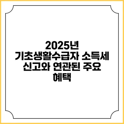 2025년 기초생활수급자 소득세 신고와 연관된 주요 혜택