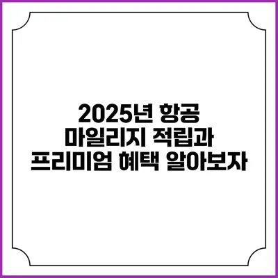 2025년 항공 마일리지 적립과 프리미엄 혜택 알아보자