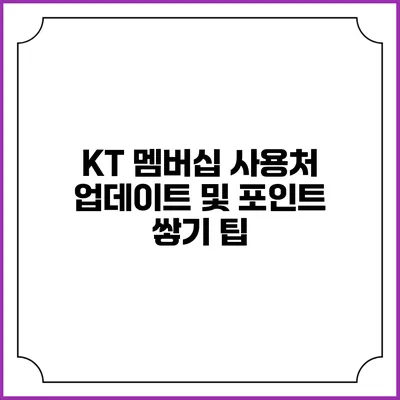 KT 멤버십 사용처 업데이트 및 포인트 쌓기 팁