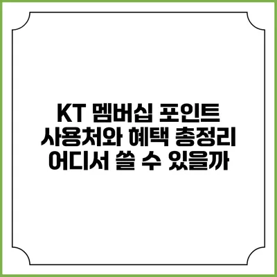 KT 멤버십 포인트 사용처와 혜택 총정리 어디서 쓸 수 있을까?