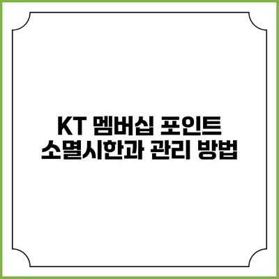 KT 멤버십 포인트 소멸시한과 관리 방법