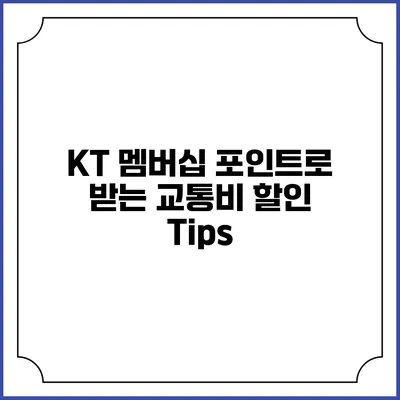 KT 멤버십 포인트로 받는 교통비 할인 Tips