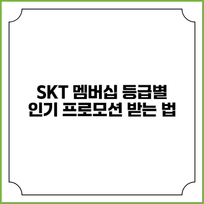 SKT 멤버십 등급별 인기 프로모션 받는 법