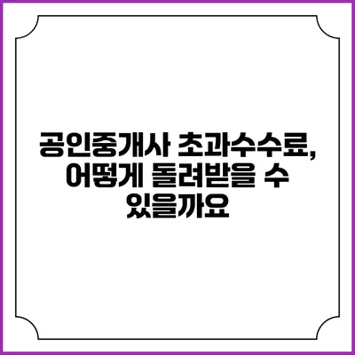공인중개사 초과수수료, 어떻게 돌려받을 수 있을까요?