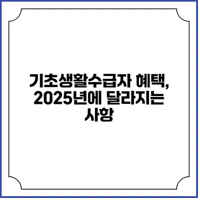 기초생활수급자 혜택, 2025년에 달라지는 사항