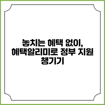 놓치는 혜택 없이, 혜택알리미로 정부 지원 챙기기