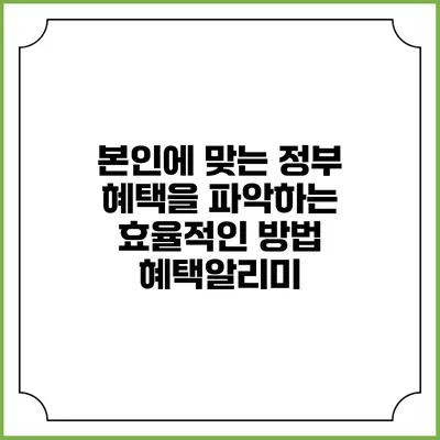 본인에 맞는 정부 혜택을 파악하는 효율적인 방법 혜택알리미