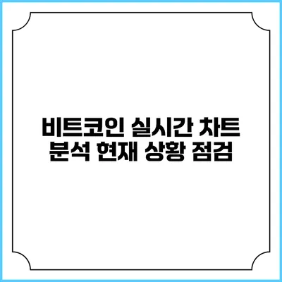 비트코인 실시간 차트 분석: 현재 상황 점검