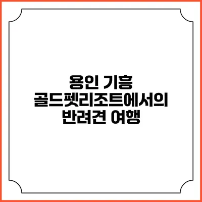 용인 기흥 골드펫리조트에서의 반려견 여행