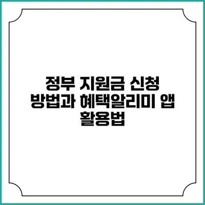 정부 지원금 신청 방법과 혜택알리미 앱 활용법