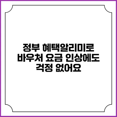 정부 혜택알리미로 바우처 요금 인상에도 걱정 없어요