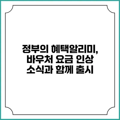 정부의 혜택알리미, 바우처 요금 인상 소식과 함께 출시