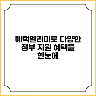 혜택알리미로 다양한 정부 지원 혜택을 한눈에