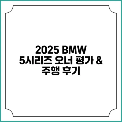 2025 BMW 5시리즈 오너 평가 & 주행 후기