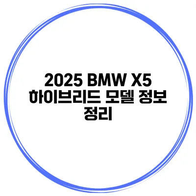 2025 BMW X5 하이브리드 모델 정보 정리