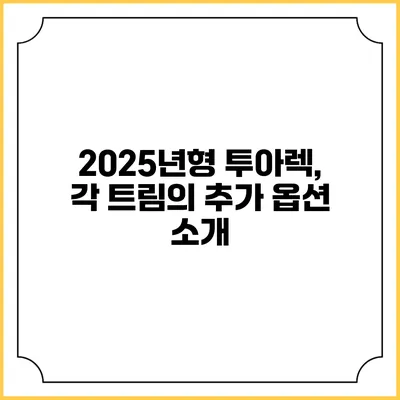 2025년형 투아렉, 각 트림의 추가 옵션 소개