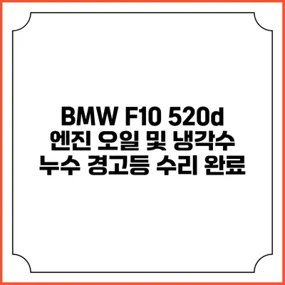 BMW F10 520d 엔진 오일 및 냉각수 누수 경고등 수리 완료