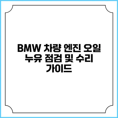 BMW 차량 엔진 오일 누유 점검 및 수리 가이드