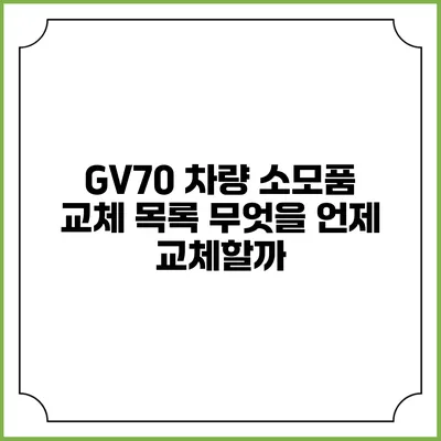 GV70 차량 소모품 교체 목록 무엇을 언제 교체할까?
