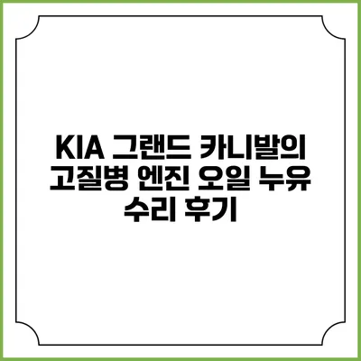 KIA 그랜드 카니발의 고질병 엔진 오일 누유 수리 후기