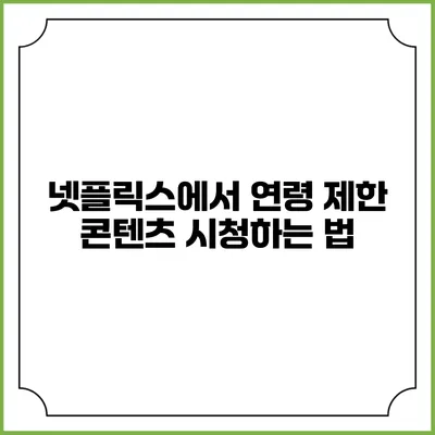 넷플릭스에서 연령 제한 콘텐츠 시청하는 법