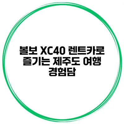 볼보 XC40 렌트카로 즐기는 제주도 여행 경험담