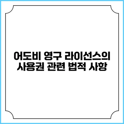 어도비 영구 라이선스의 사용권 관련 법적 사항