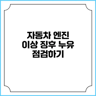 자동차 엔진 이상 징후 누유 점검하기